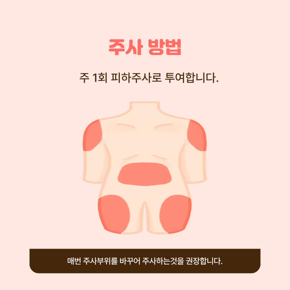 /user/d/dsnurse/editor/2607/2f8864038fe0d03391756b69da0f1362_1783495895_4897.png 이미지크게보기