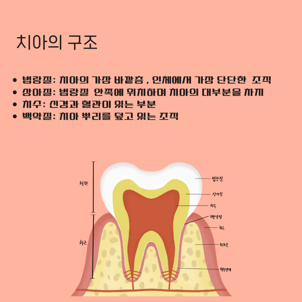 /user/d/dsnurse/editor/2607/2f8864038fe0d03391756b69da0f1362_1783497842_1306.png 이미지크게보기