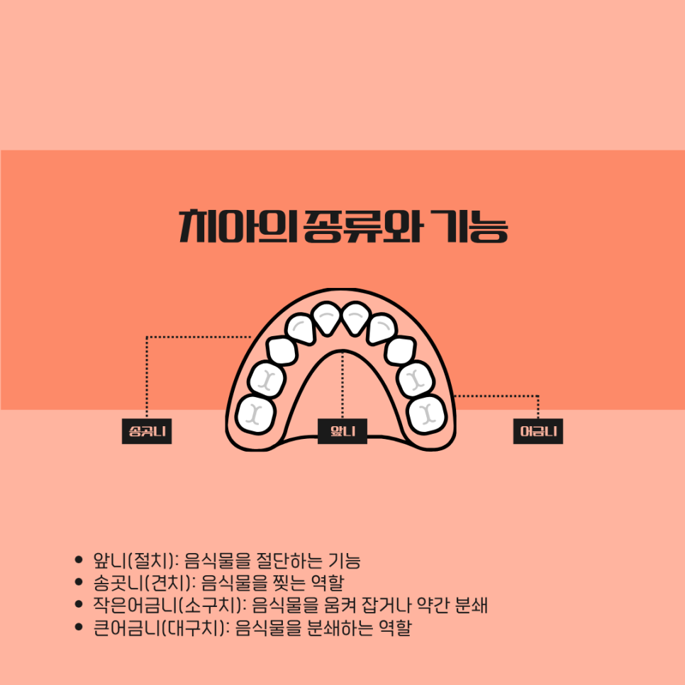 /user/d/dsnurse/editor/2607/2f8864038fe0d03391756b69da0f1362_1783497844_9242.png 이미지크게보기